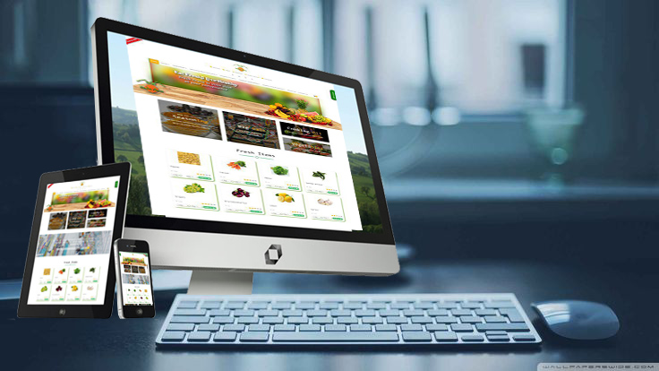 Prosoft Solution : Website designing in Mathura