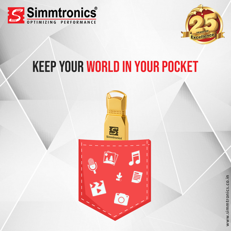 Simmtronics Infotech Pvt Ltd - Delhi